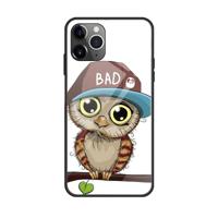 Voor iPhone 11 Pro kleurrijke geschilderde glazen kast (uil)