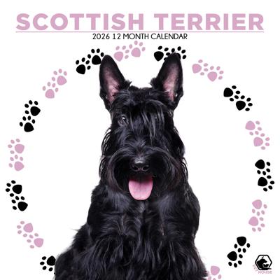 Schotse Terrier Kalender 2026