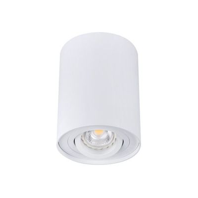 Opbouwspot rond - Bord1 - Wit - Kantelbaar - Ø95x125mm