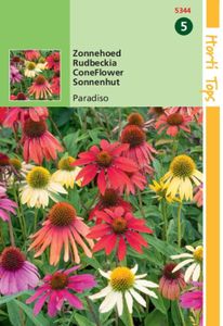HT Echinacea, Zonnehoed Paradiso - Hortitops