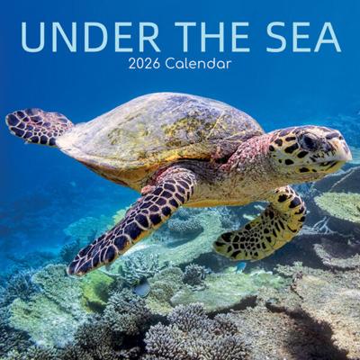 Under the Sea Kalender 2026