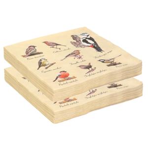 40x Papieren servetten met vogels print - 33 x 33 cm - tuinvogels - 3 laags