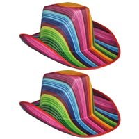 2x stuks gekleurde gestreepte carnaval cowboyhoed