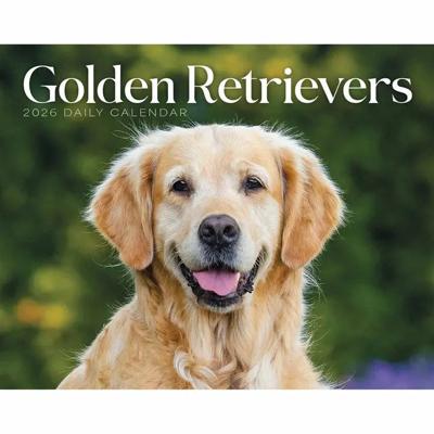 Golden Retriever Scheurkalender 2026 Boxed