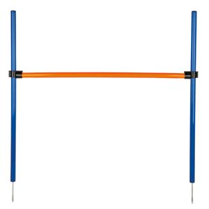 Trixie Fun Agility Horde hond