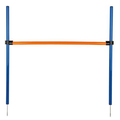 Trixie Fun Agility Horde hond