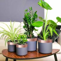 VidaXL Kopertape 6 pcs koper 2000 x 5 cm koper