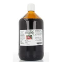 Natura Sanat Harpagophytum p r / duivelsklauw tinctuur (1 ltr) - thumbnail