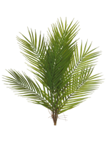 Areca palm bundle green 60cm Nova Nature - Nova nature