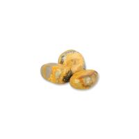 Jaspis Bumblebee Trommelstenen (50 gram) - thumbnail