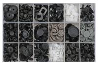 Assortiment bekleding clips voor Nissan 408 stuks 4822342