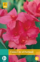Canna City Of Portland Bloembol JUB 1 bol - Jub