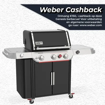 Gasbarbecue genesis ep-335w