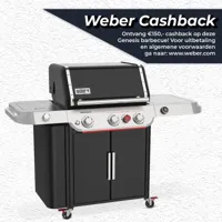 Gasbarbecue genesis ep-335w
