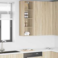 Hangkast Riga Sonoma Eiken 30 x 29,5 x 100 cm Bewerkt hout