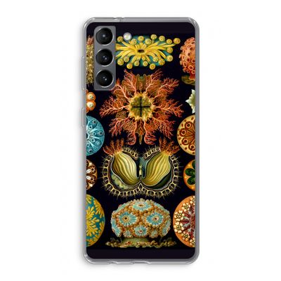 Haeckel Ascidiae: Samsung Galaxy S21 Transparant Hoesje