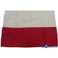 GS73361 - CANTABRI? VLAG 40X60