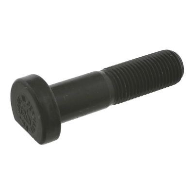 Wielbout 01471
