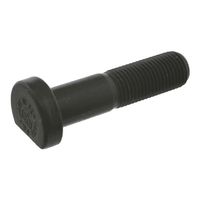 Wielbout 01471