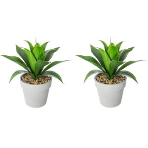 Set van 2x stuks atmosphera Aloe Vera kunstplanten in pot van cement 34 cm