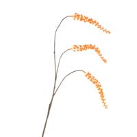 Daan Kromhout Kunsttak berry cluster oranje 94 cm | 6 stuks