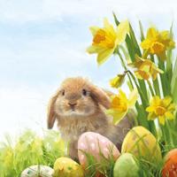 Pasen thema servetten - haasje en gekleurde eieren - 60x stuks - 33 x 33 cm - Paasontbijt