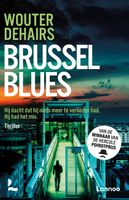 Brussel blues - Wouter Dehairs - ebook