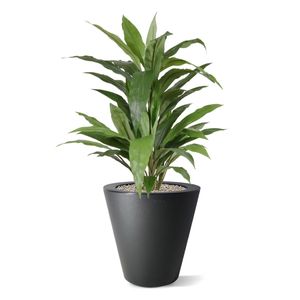 Draceana groen kunstplant 80cm