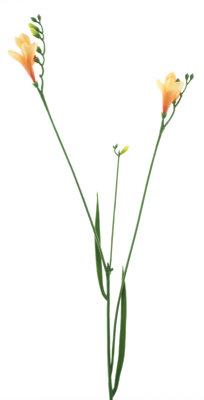 Freesia spray orange 76 cm kunstbloem - Nova nature