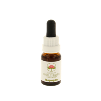 Australian Bush Isopogon 15 Milliliter