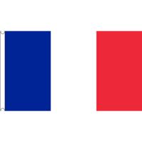 Grote vlag Frankrijk - 150 x 240 cm - polyester - Franse versiering - feestartikelen - landenversier