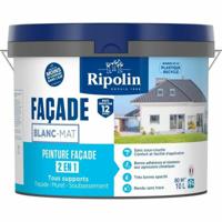 Verf Ripolin 474646 10 L