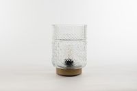 lantern Glass 12 x 17,5 cm Clear With Golden Base Led Bulb Anna's Collection - Annas collection