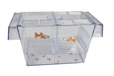 Superfish Floating Breeding Box