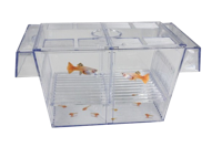 Superfish Floating Breeding Box