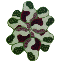 Finarte - Vloerkleed Pear Green - 160x200 cm