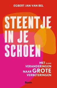 Steentje in je schoen - Egbert Jan van Bel - ebook