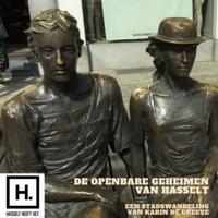 De openbare geheimen van Hasselt