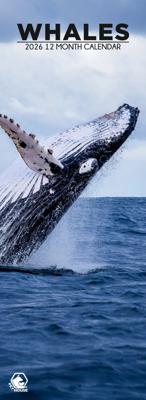 Walvissen Slimline Kalender 2026 Walvissen Slimline Kalender 2026