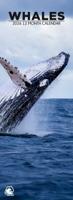 Walvissen Slimline Kalender 2026