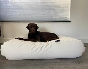 Dog's Companion® Hondenbed ivory leather look small