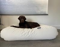 Dog's Companion® Hondenbed ivory leather look small Dog's Companion® Hondenbed ivory leather look small