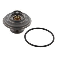 Thermostaat 11444