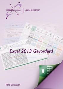 Excel 2013 (Paperback)