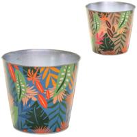 Bloempot Bob Jungle XL 17 cm 2 assorti | 12 stuks