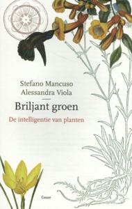 Briljant groen (Paperback)