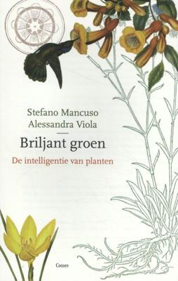 Briljant groen (Paperback)