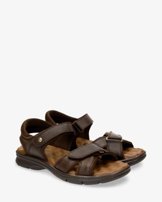 Sanders C17 Sanders C17