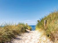Strandpad 70x50cm Tuinschilderij - Customize it