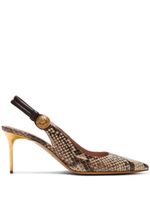 Balmain escarpins Alma 75 mm en cuir - Marron - thumbnail